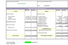 Plantilla Excel Estado de situación patrimonial | SistemaContable